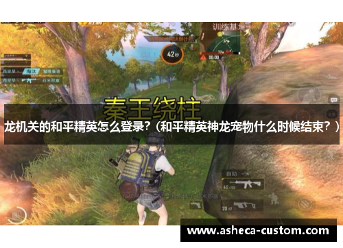 龙机关的和平精英怎么登录？(和平精英神龙宠物什么时候结束？)