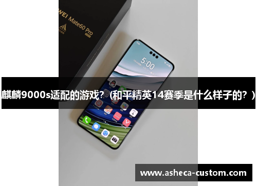 麒麟9000s适配的游戏？(和平精英14赛季是什么样子的？)