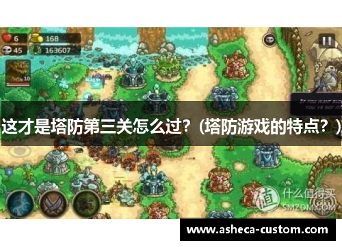这才是塔防第三关怎么过？(塔防游戏的特点？)
